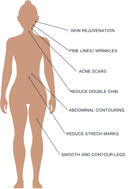 Body Features with Labels