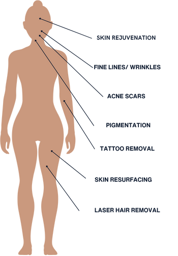 Body Features with Labels