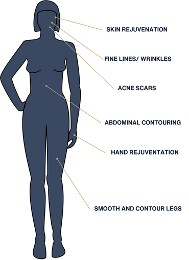 Body Features with Labels